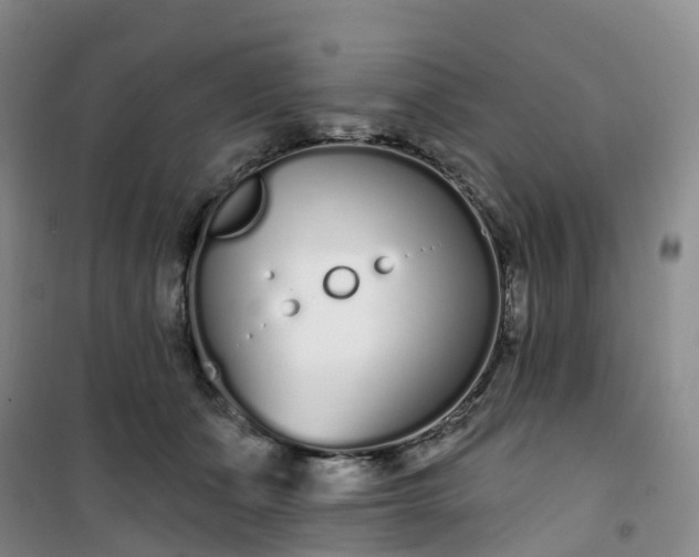 X0000101180511200807111118