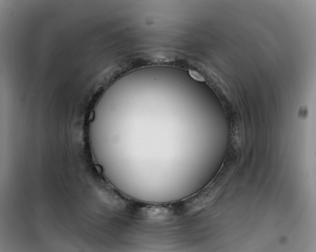 X0000101180512200807111118