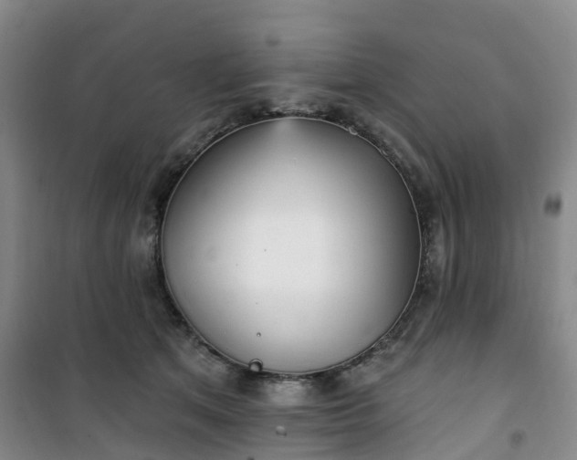 X0000101180513200807111118