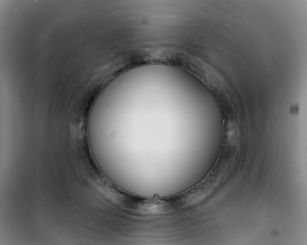 X0000101180514200807111118