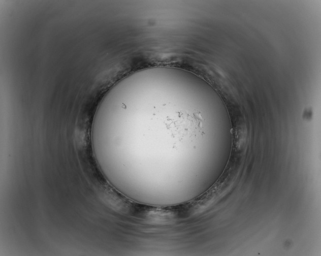 X0000101180515200807111118