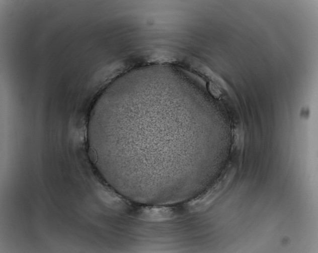 X0000101180517200807111118