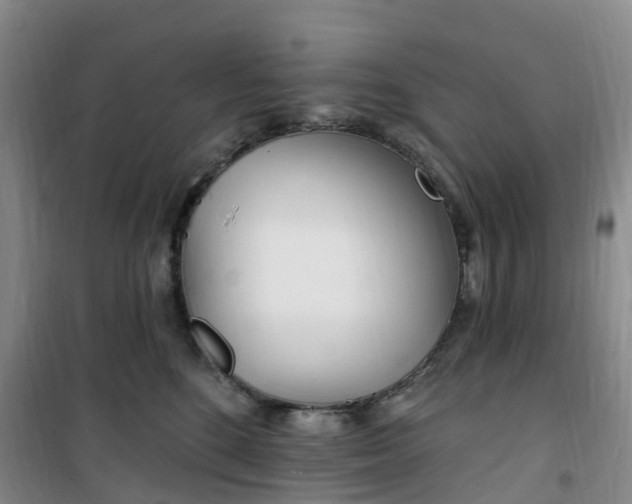 X0000101180520200807111118