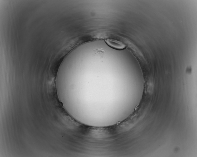 X0000101180521200807111118