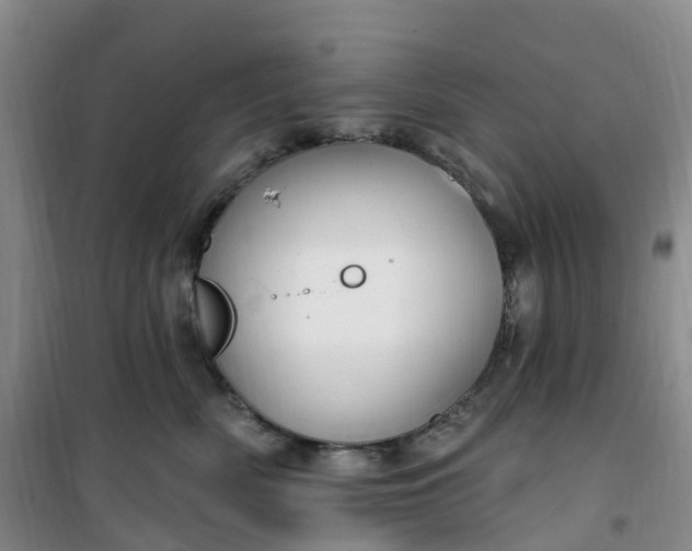 X0000101180522200807111118