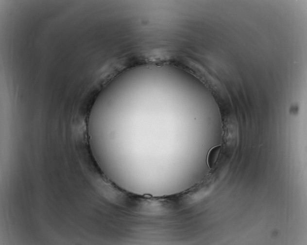 X0000101180523200807111118