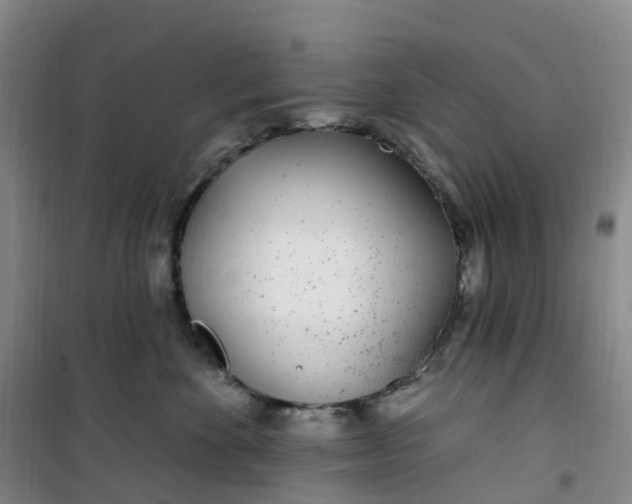 X0000101180524200807111118