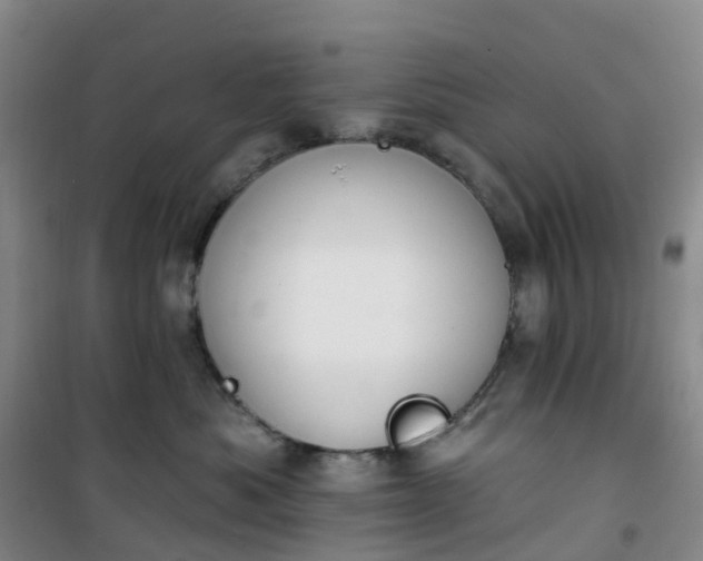 X0000101180525200807111118