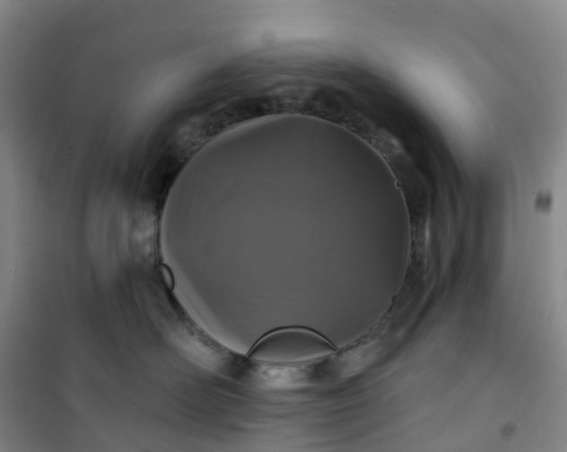 X0000101180526200807111118