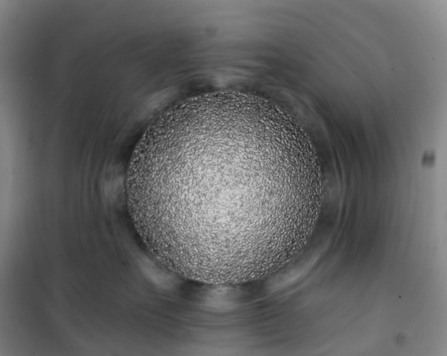 X0000101180527200807111118