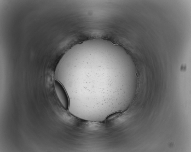 X0000101180528200807111118