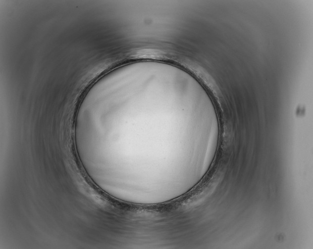 X0000101180529200807111117
