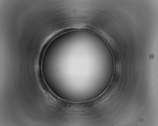 X0000101180532200807111117