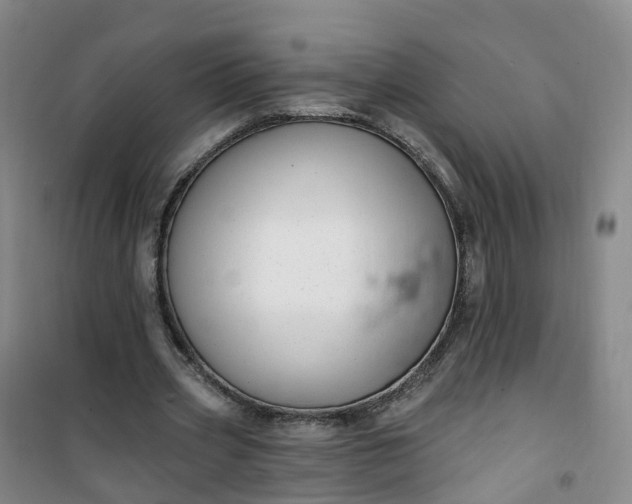 X0000101180533200807111117