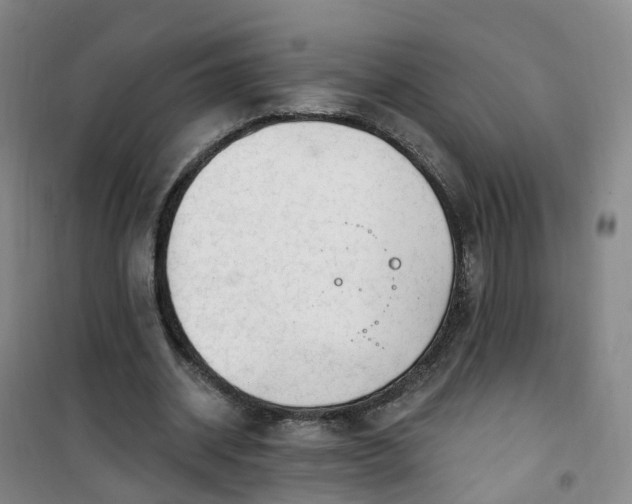 X0000101180534200807111117