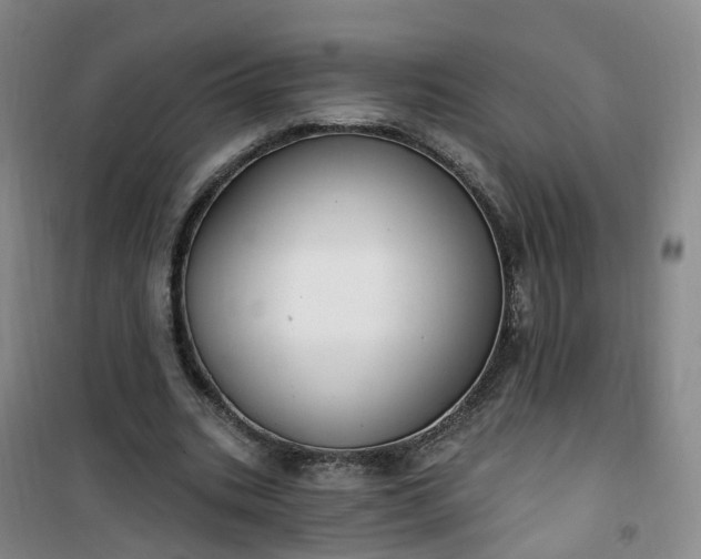X0000101180535200807111117