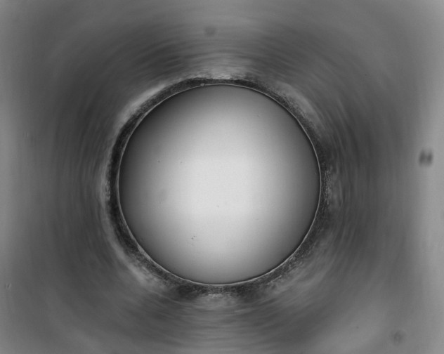 X0000101180536200807111117