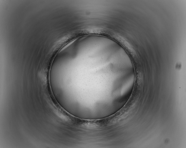 X0000101180537200807111117