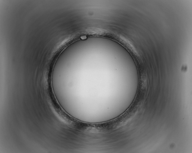 X0000101180538200807111117