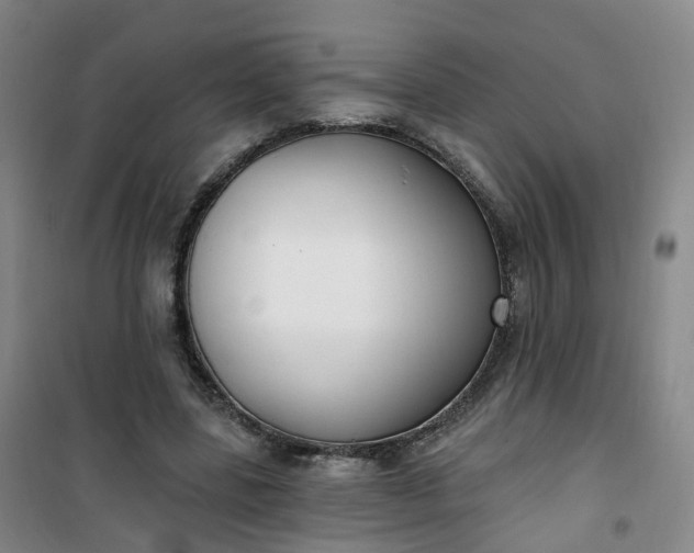 X0000101180539200807111117