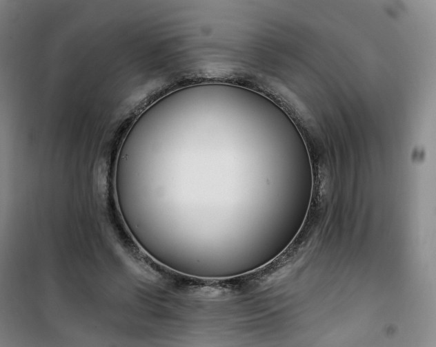 X0000101180542200807111118