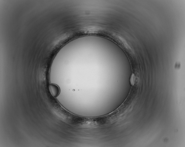 X0000101180543200807111118