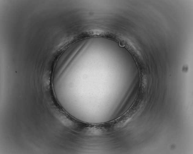 X0000101180545200807111118