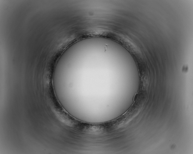 X0000101180546200807111118