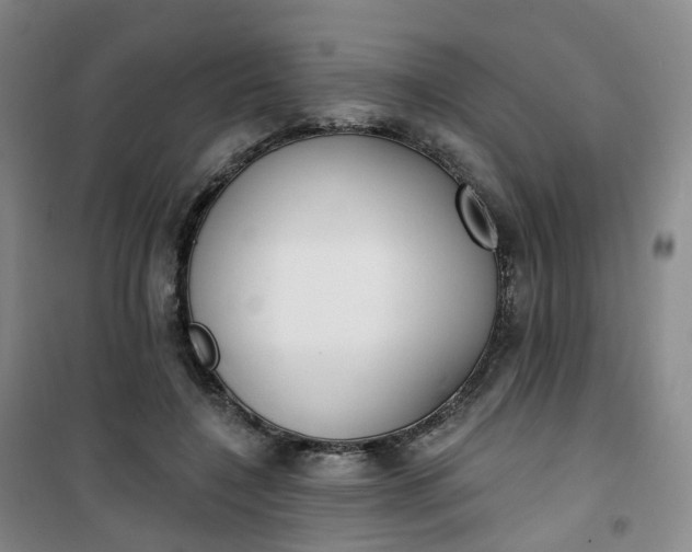 X0000101180548200807111118