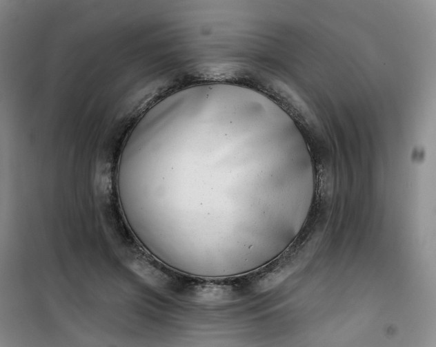 X0000101180549200807111118