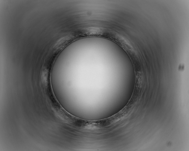 X0000101180550200807111118