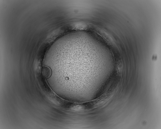 X0000101180551200807111118