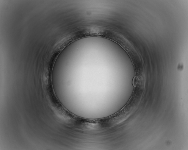 X0000101180552200807111118