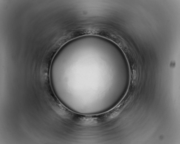 X0000101180553200807111118