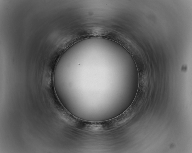 X0000101180554200807111118
