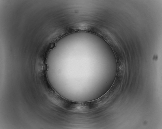X0000101180555200807111118
