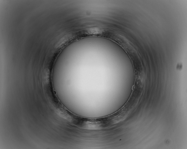 X0000101180556200807111118