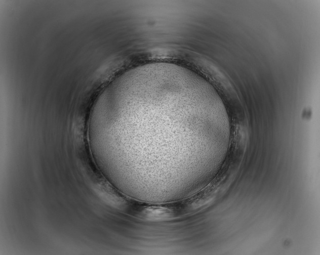 X0000101180557200807111118