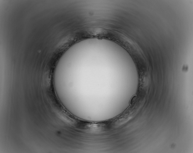 X0000101180558200807111118