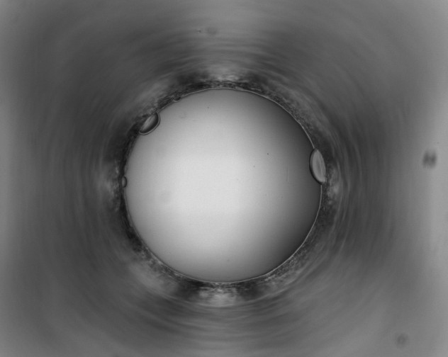 X0000101180559200807111118