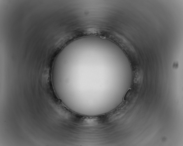 X0000101180560200807111118