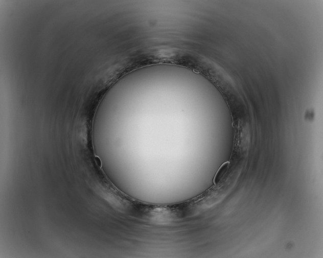 X0000101180562200807111118