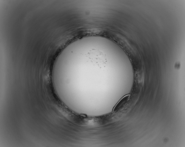 X0000101180564200807111118