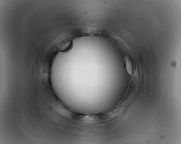 X0000101180566200807111118