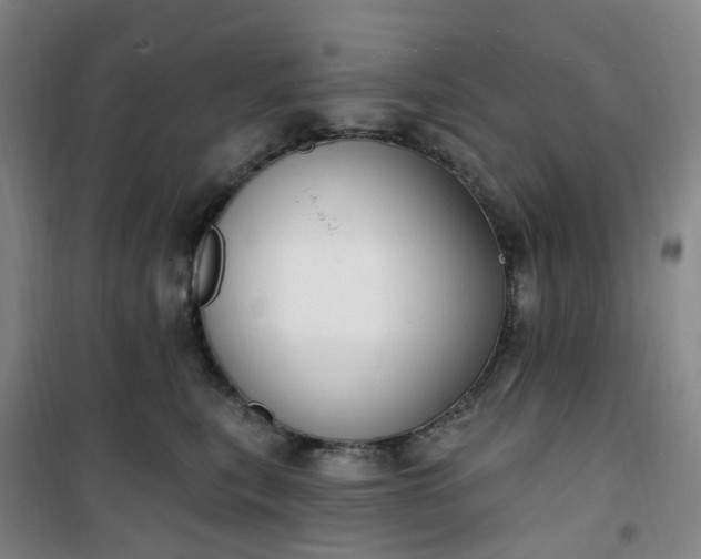 X0000101180567200807111118