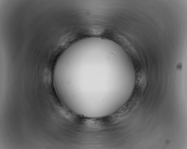 X0000101180568200807111118