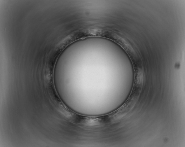 X0000101180569200807111118