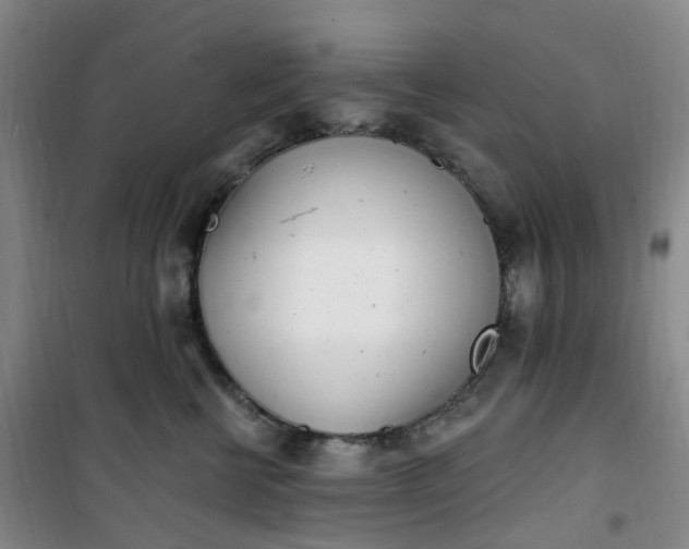 X0000101180570200807111118