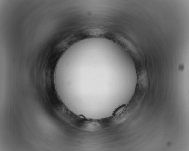 X0000101180572200807111118