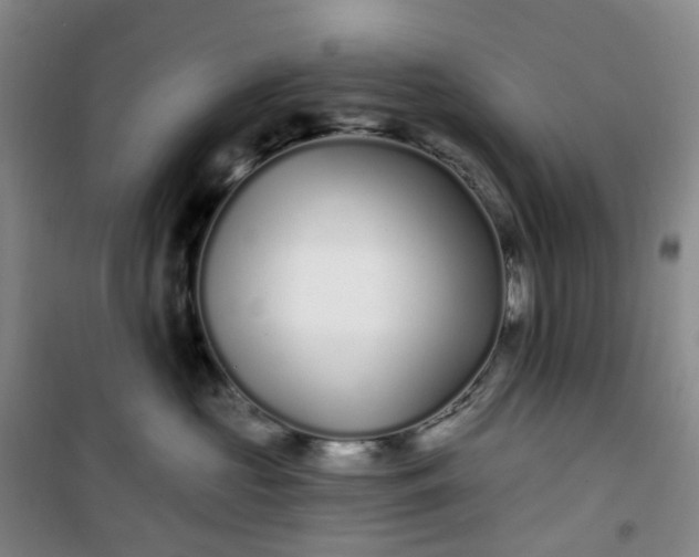 X0000101180573200807111118